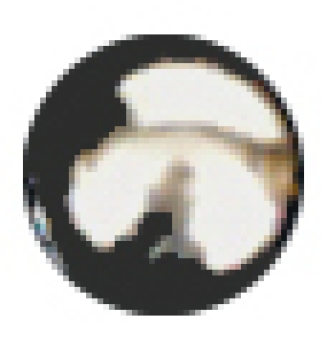 6494