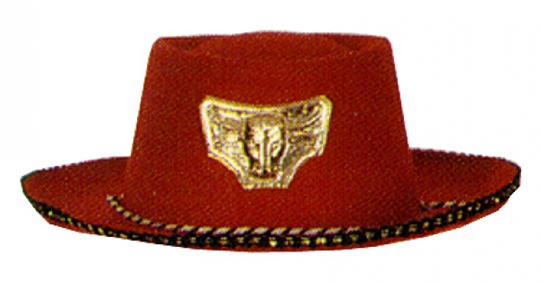 Cowboy hat for children, in black, red, brown