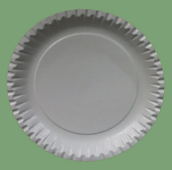 10 Stück Große flache runde Pappteller, 23 cm Ø