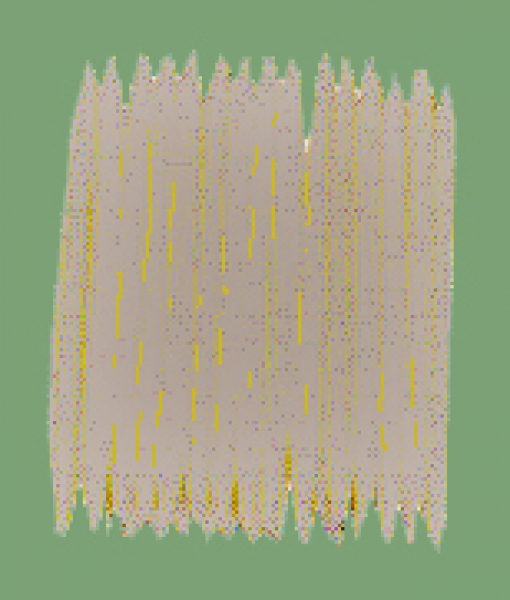30 Stück runde Zahnstocher aus Holz, ca. 80 mm lang